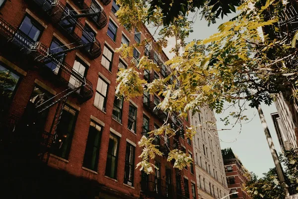 Brooklyn Heights