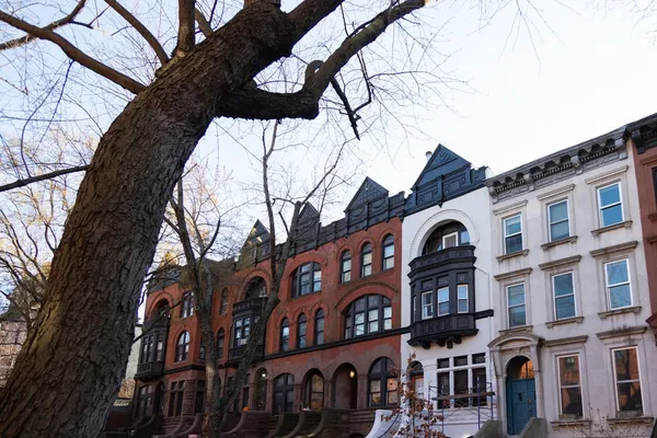 Fort Greene