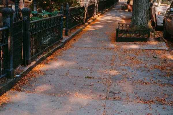 Park Slope